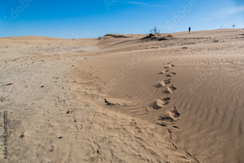 Elsen Tasarkhai or mini-Gobi is located 280km west of Ulaanbaatar in Mongolia  It is a sand dune that stretches 80km long  and 5km wide in Hugnu-Tarna National Park