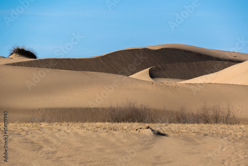 Elsen Tasarkhai or mini-Gobi is located 280km west of Ulaanbaatar in Mongolia, It is a sand dune that stretches 80km long, and 5km wide in Hugnu-Tarna National Park