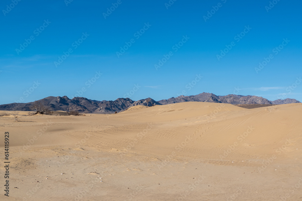 Elsen Tasarkhai or mini-Gobi is located 280km west of Ulaanbaatar in Mongolia, It is a sand dune that stretches 80km long, and 5km wide in Hugnu-Tarna National Park Elsen Tasarkhai or mini-Gobi is located 280km west of Ulaanbaatar in Mongolia, It is a sand dune that stretches 80km long, and 5km wide in Hugnu-Tarna National Park