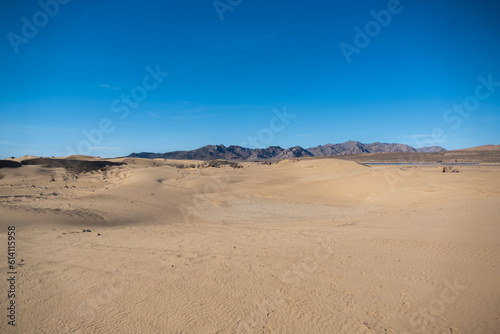 Fototapeta Naklejka Na Ścianę i Meble -  Elsen Tasarkhai or mini-Gobi is located 280km west of Ulaanbaatar in Mongolia, It is a sand dune that stretches 80km long, and 5km wide in Hugnu-Tarna National Park