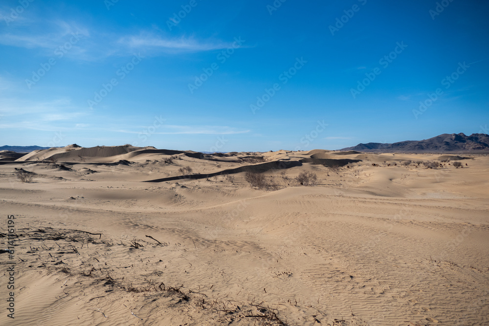 Elsen Tasarkhai or mini-Gobi is located 280km west of Ulaanbaatar in Mongolia, It is a sand dune that stretches 80km long, and 5km wide in Hugnu-Tarna National Park
