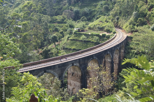 The Nine Arches Bridge Demodara Ella Sri LAnaka photo