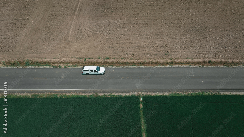 Obraz premium Aerial view of green field forest and white car on the road. Bird's eye.