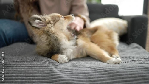 Wallpaper Mural Young hispanic woman with dog sitting on sofa at home Torontodigital.ca