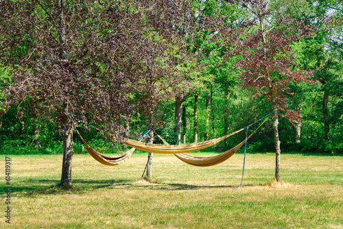 Campsite with hammock between trees on a sunny day photo