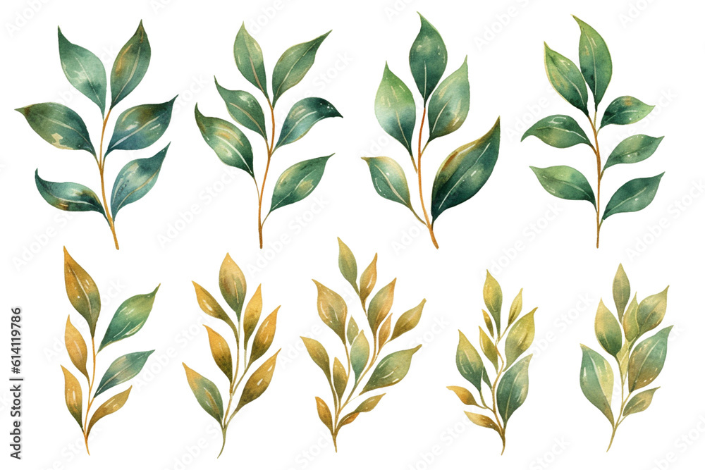 Watercolor floral illustration set - green & gold leaf branches collection, for wedding stationary, greetings, wallpapers, fashion, background. Eucalyptus, olive, green leaves, generative AI.