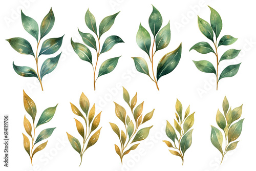 Watercolor floral illustration set - green & gold leaf branches collection, for wedding stationary, greetings, wallpapers, fashion, background. Eucalyptus, olive, green leaves, generative AI.