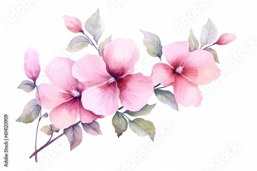 Watercolor painting of  pink spring blossom isolated on white background created with Generative AI technology