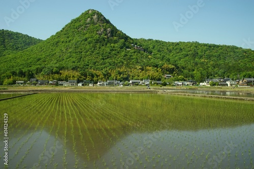 初夏の太郎坊宮 （2022年5月, 滋賀県東近江市）