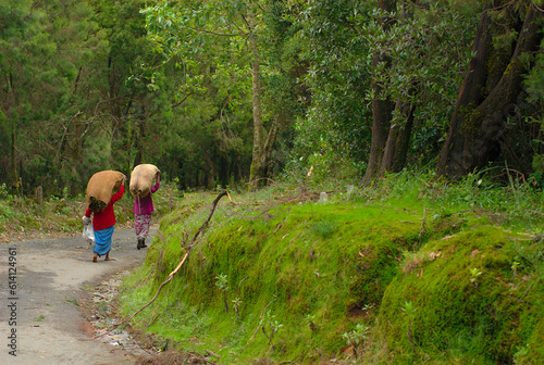 Women carrying sacks on the road through the forest, Ooty, India.