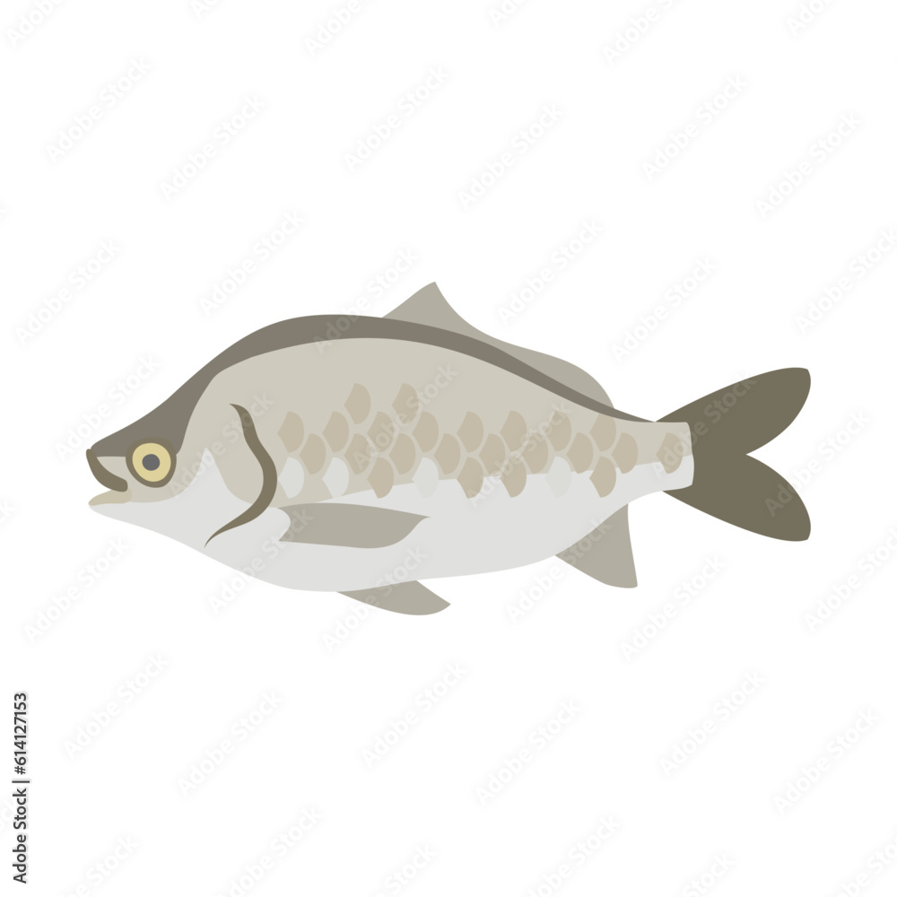 ゲンゴロウブナ(ヘラブナ)。フラットなベクターイラスト。
Japanese white crucian carp (Japanese carp, white crucian carp). Flat designed vector illustration. ゲンゴロウブナ(ヘラブナ)。フラットなベクターイラスト。
Japanese white crucian carp (Japanese carp, white crucian carp). Flat designed vector illustration.