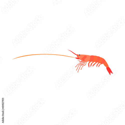 アマエビ（ホッコクアカエビ）。フラットなベクターイラスト。
Alaskan pink shrimp.  Flat designed vector illustration.