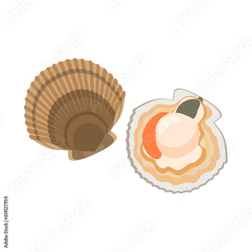 ホタテ。フラットなベクターイラスト。
Japanese scallop. Flat designed vector illustration.