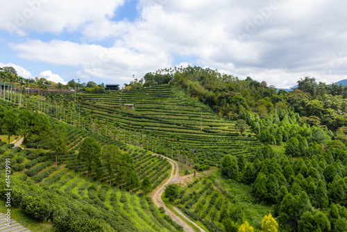 Scenery view of the mountain in Nantou