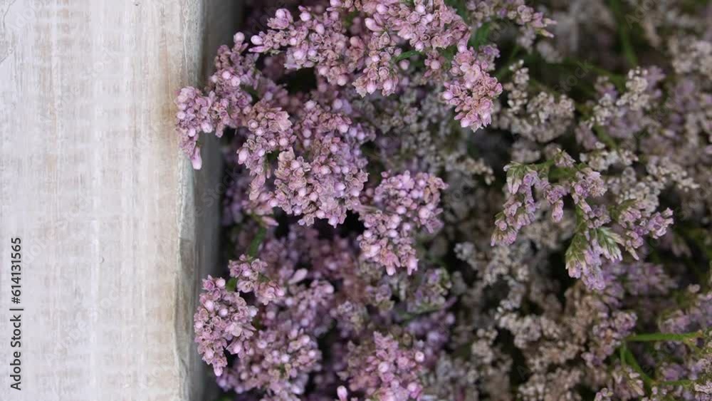 White wooden background with lilac flowers and space for text. Bouquet of small purple flowers. Delicate floral background. Limonium flowers. Lilac flowers background. White wooden background with lilac flowers and space for text. Bouquet of small purple flowers. Delicate floral background. Limonium flowers. Lilac flowers background.