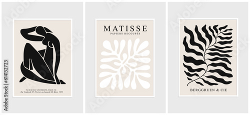 Contains Abstract Art Set in Matisse style, Decorative Modern Art, Vector illustration poster. Collection for trendy floral decoration and creative art. minimal aesthetic modern art.