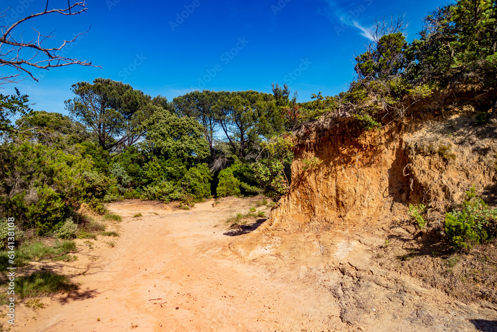 Küstenlandschaft der Insel Rab in Kroatien Küstenlandschaft der Insel Rab in Kroatien