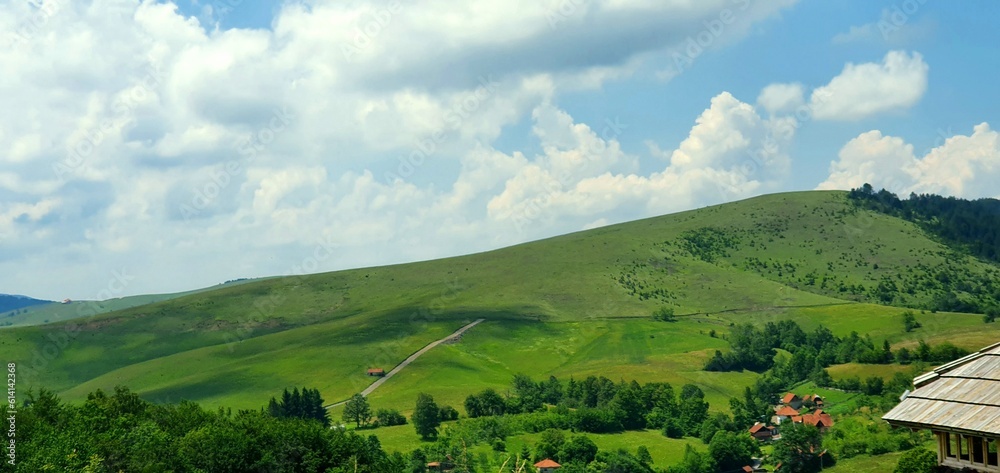 landscape in the summer landscape in the summer