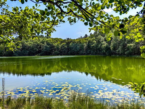 spring in the park