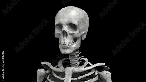 Rotating human skeleton. Medium close up shot. Repeatable 3D rendered video.