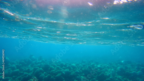 Underwater sea ocean deep coral blue