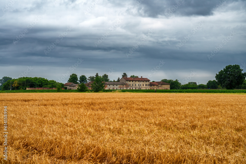 Rural landscape near Borgarello, Pavia province