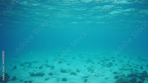 underwater ocean sea deep blue coral background