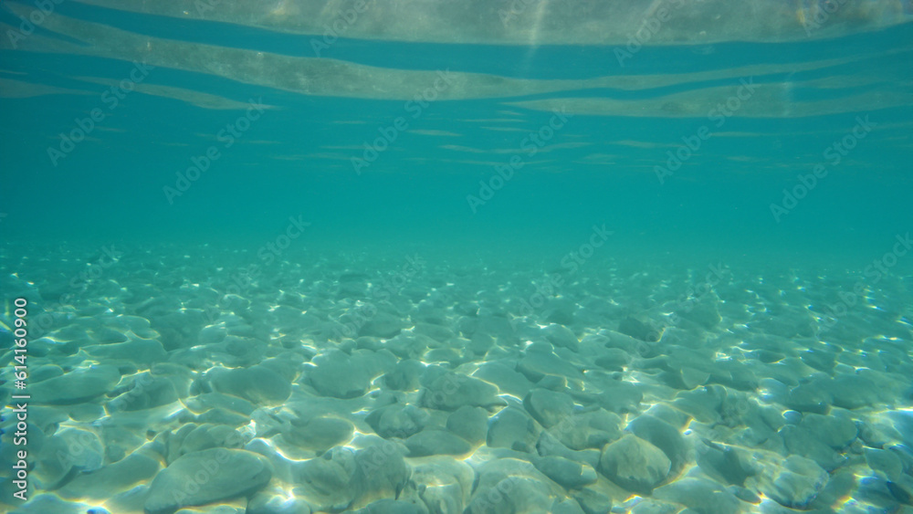 underwater ocean sea deep blue coral background