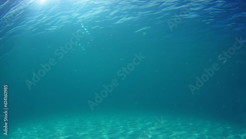 Fototapeta Naklejka Na Ścianę i Meble -  underwater ocean sea deep blue coral background