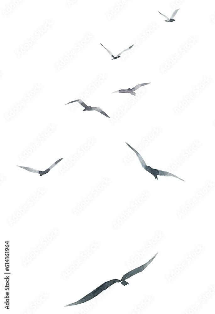 A flock of flying birds, seagulls in watercolor.