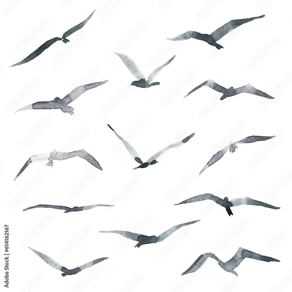 Fototapeta premium Clipart birds, seagulls clipart background, abstract birds background.