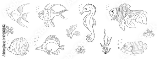Set of different tropical fish in linear style. Doodle illustration of sea animals. Ocean dwellers and underwater vegetation