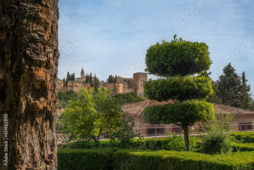 Gardens of Casa del Chapiz House with Alhambra on background - Granada, Andalusia, Spain photo