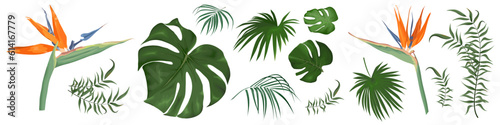 Large vector set of tropical plants and flowers on a white background. Strelitzia plant, palm leaves and other tropical plants. Vector illustration