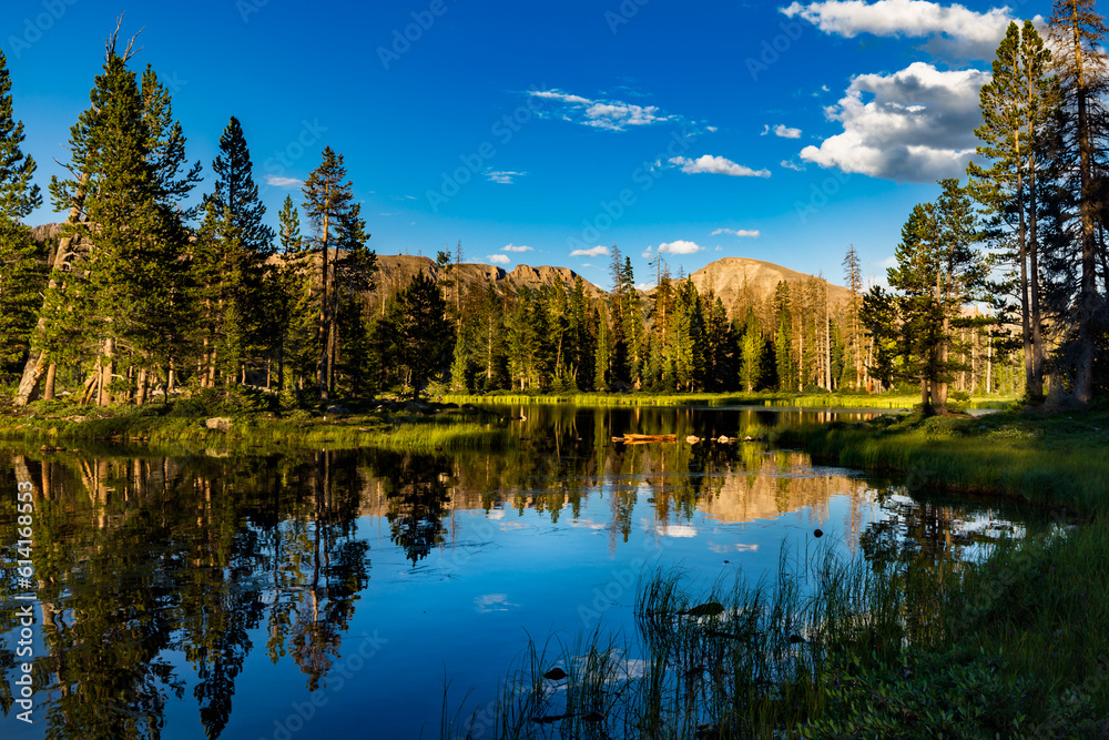 Tranquil Reflection of Forest and Sky in a Blue Wilderness Lake Tranquil Reflection of Forest and Sky in a Blue Wilderness Lake