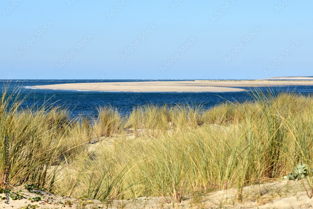 France, aquitaine, côte atlantique, le banc d'Arguin et la pointe du cap Ferrat vus d'un dune au sud du Bassin d'Arcachon.