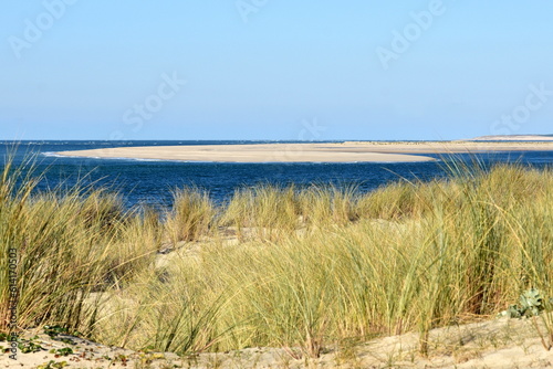 Fototapeta Naklejka Na Ścianę i Meble -  France, aquitaine, côte atlantique, le banc d'Arguin et la pointe du cap Ferrat vus d'un dune au sud du Bassin d'Arcachon.