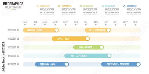 Gantt chart timeline 12 months infographic template or element with 5 project, step, process, option, colorful bar, button, arrow, minimal, modern style for sale slide, flowchart, planner, schedule