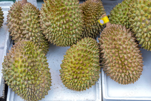 Durian Fruit Market Hong Kong