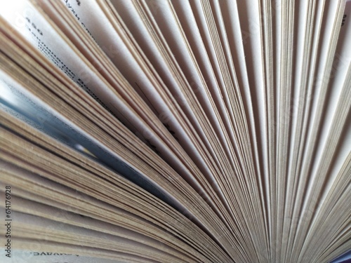 Pages if book