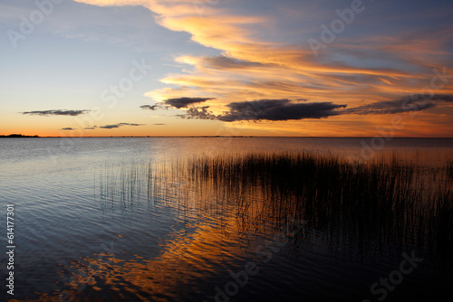 Sunset at the Ibera lagoon  Corrientes province  Argentina