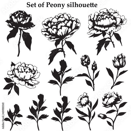 A set of black Flower vector illustration