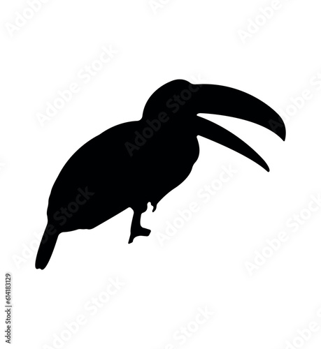 Vector flat toucan silhouette isolated on white background