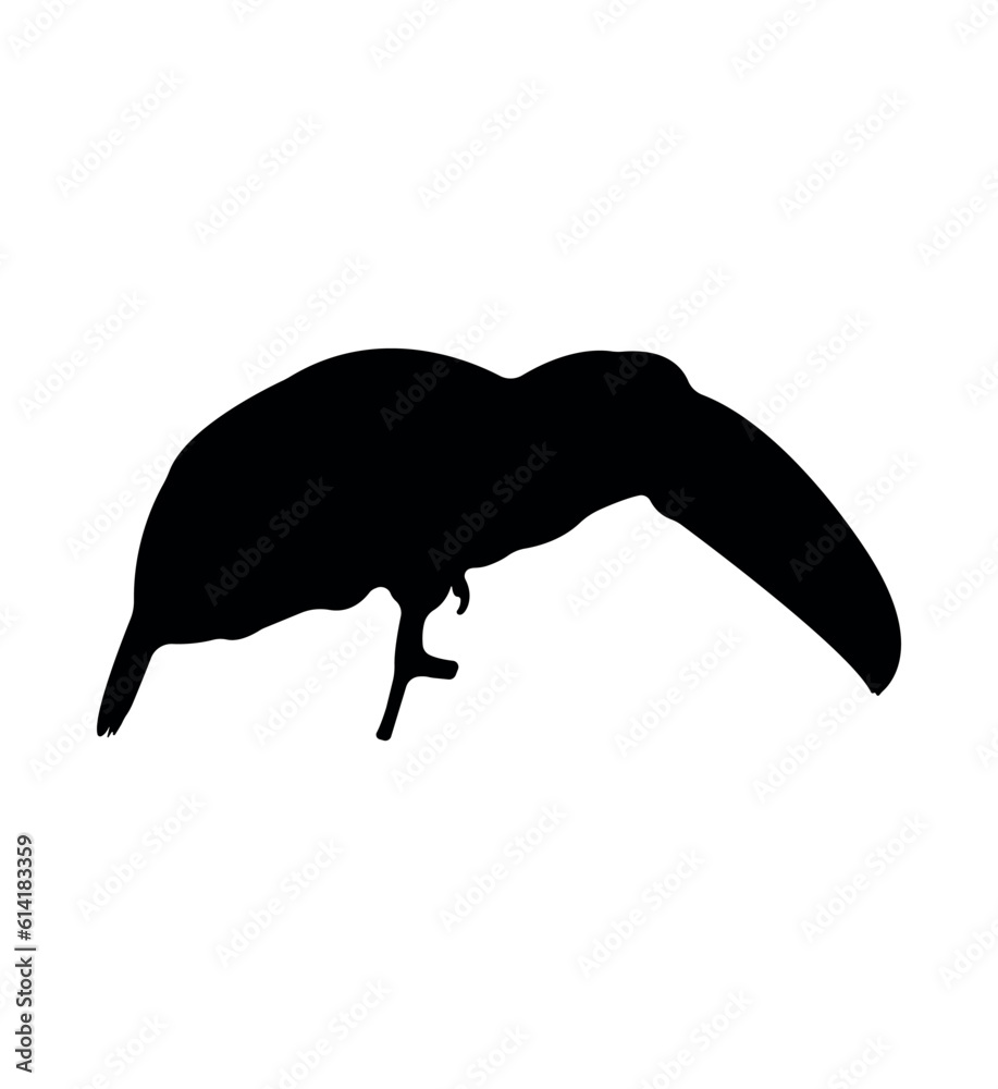 Vector flat toucan silhouette isolated on white background Vector flat toucan silhouette isolated on white background