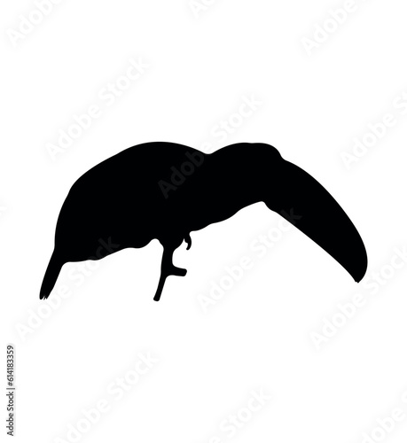 Vector flat toucan silhouette isolated on white background