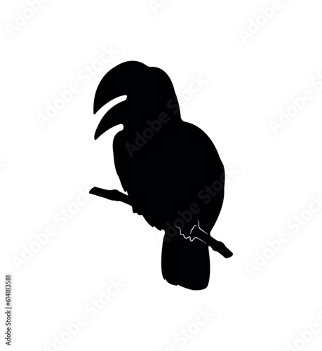 Vector flat toucan silhouette isolated on white background
