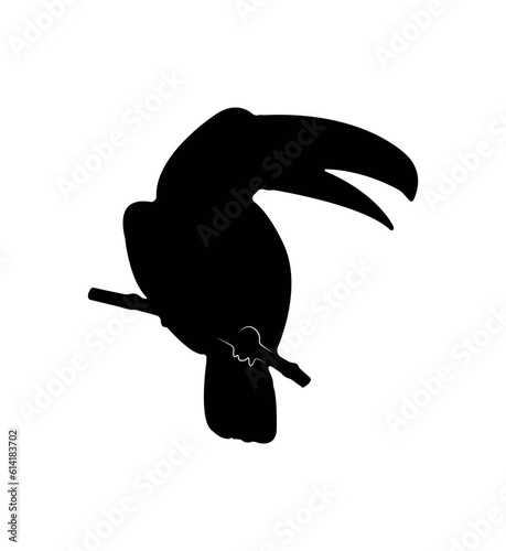 Vector flat toucan silhouette isolated on white background