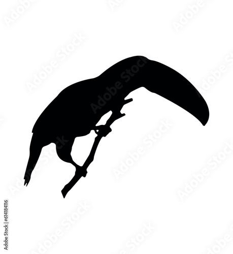 Vector flat toucan silhouette isolated on white background