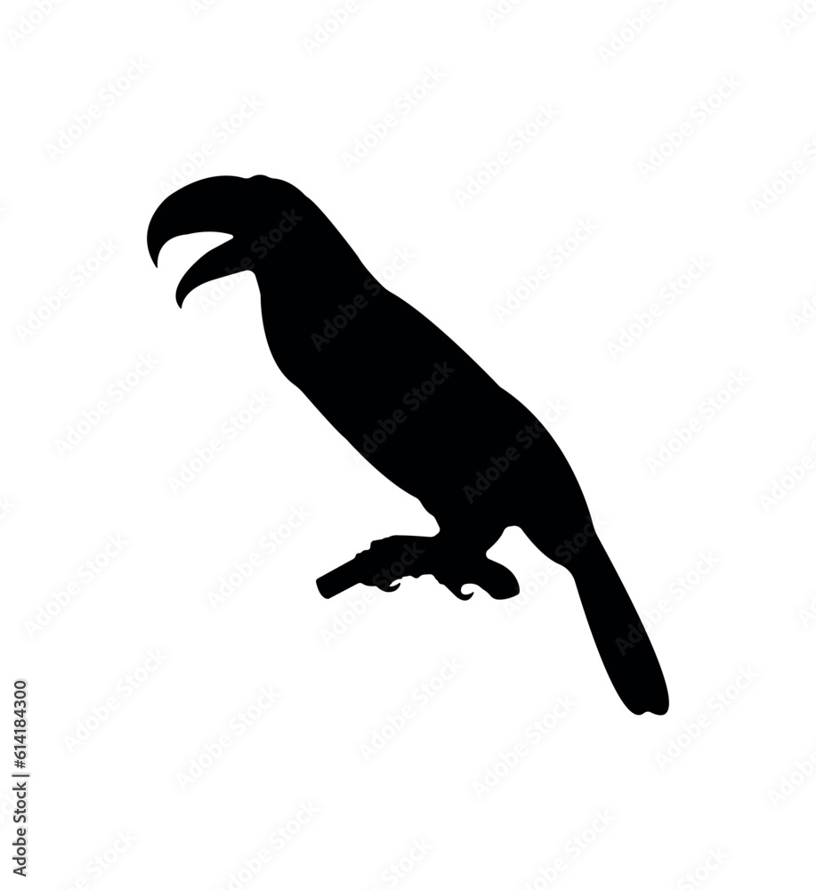 Vector flat toucan silhouette isolated on white background Vector flat toucan silhouette isolated on white background