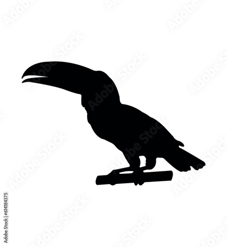 Vector flat toucan silhouette isolated on white background